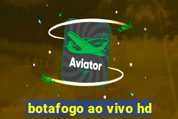 botafogo ao vivo hd